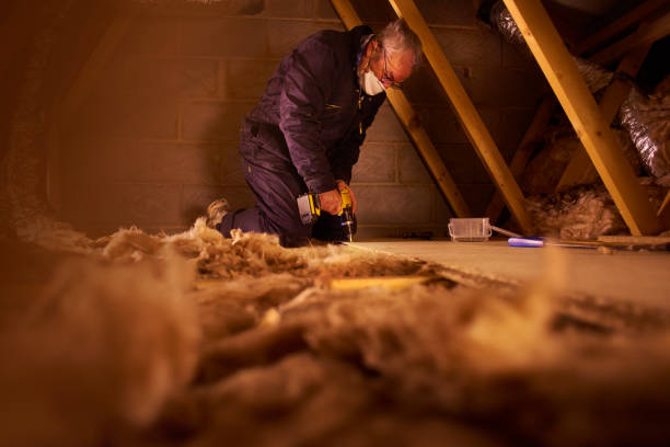 Best Attic Insulation Installation  in Springboro, OH